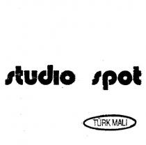studio spot