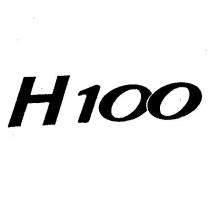 h100