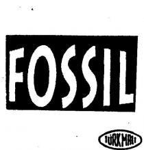 fossil