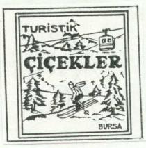 turistik çiçekler