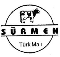 sürmen