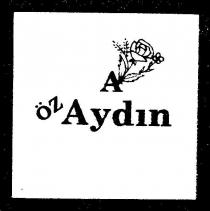 özaydin