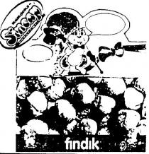 ekmekçioğlu sincap