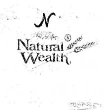 natural wealth