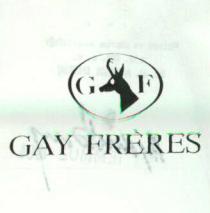 gay freres gf