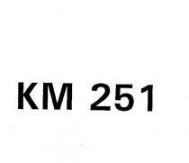 km 251