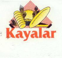 kayalar