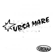 ursa mare