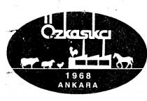 özkaşikçi