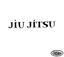 jiu jitsu