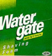 water gate shaving foam menthol