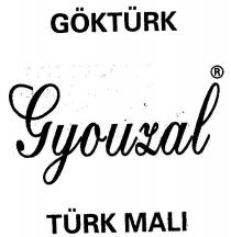 göktürk gyouzal