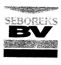 seboreks bv