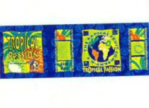 the radical fruit company n.y. tropical passion sin gas