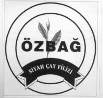 özbağ siyah çay filizi