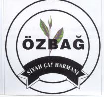 özbağ siyah çay harmanı