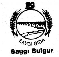 saygi bulgur