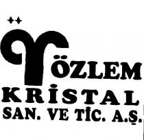 özlem kristal