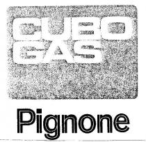 cubo gas pignone