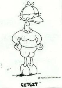 çitçit salih memecan 1996
