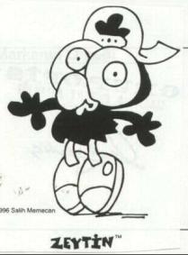 zeytin salih memecan 1996