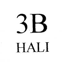 3b hali