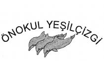 önokul yeşilçizgi