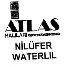 atlas nilüfer water lil