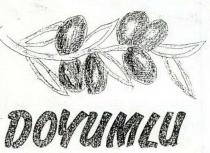 doyumlu zeytin ve zeytin dalı şekli