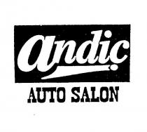 andiç auto salon