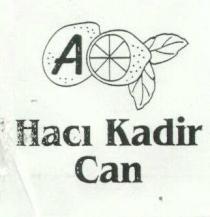 hacı kadir can a limon şekli