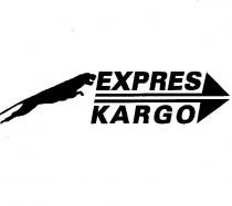 expres kargo panter şekli