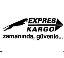 expres kargo panter şekli