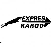 expres kargo panter şekli