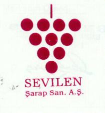 sevilen üzüm salkimi şekli