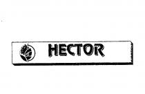 hector