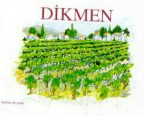 dikmen üzüm baği şekli