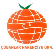 çobanlar narenciye ürn.
