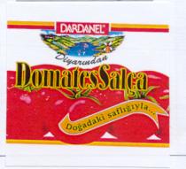 dardanel domates salça