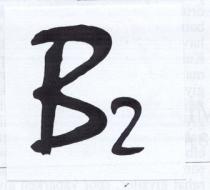 b2