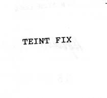 teint fix