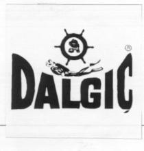 dalgiç
