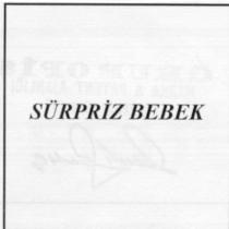 sürpriz bebek