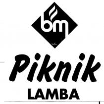 bm piknik lamba