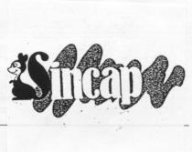 sincap sincap şekli