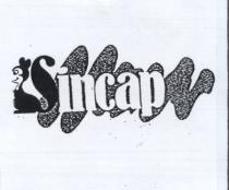sincap sincap şekli