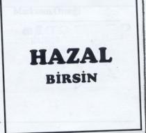 hazal birsin