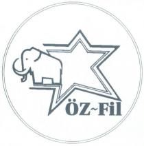 özfil fil ve yildiz şekli