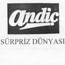andiç süpriz dünyası