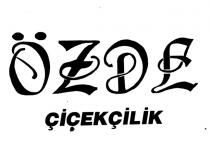 özde